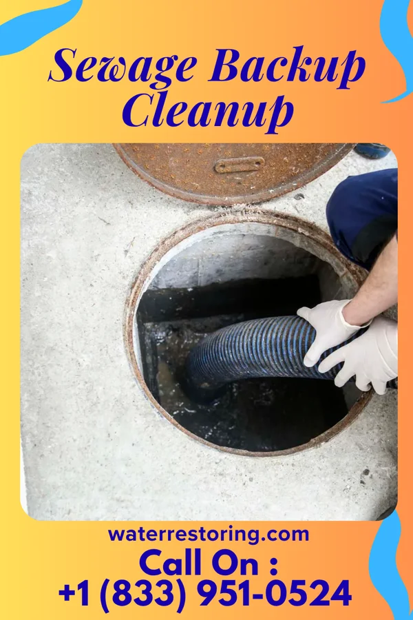 Sewage Backup Cleanup in Askov, MN